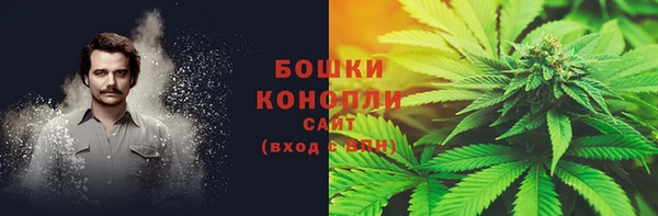 мет Лагань