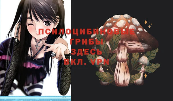 PSILOCYBIN Ладушкин