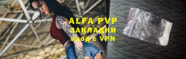 PSILOCYBIN Ладушкин