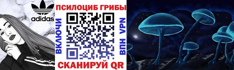 Псилоцибиновые грибы Psilocybe  купить  цена  MEGA вход  Любим 